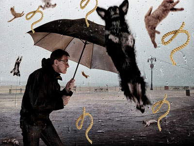 It's raining cats and dogs... and cords !